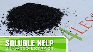 How to Make Kelp Fertilizer with Kelp4lesscom [upl. by Phelgon678]