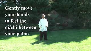 Tai Chi Qigong Shibashi Set 1  by Master Wing Cheung [upl. by Merete]