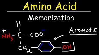 Memorize The 20 Amino Acids  The Easy Way [upl. by Jerad]