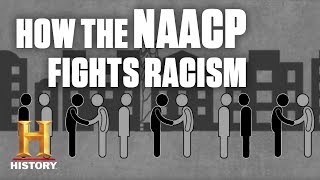 How the NAACP Fights Racial Discrimination  History [upl. by Isidor778]