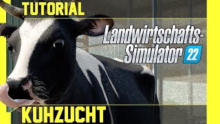 LS 22 Kühe Tutorial Kurz leicht und verständlich erklärt [upl. by Fu536]