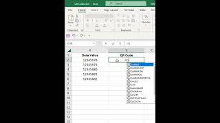 Excel VBA Create QR Code [upl. by Selie365]