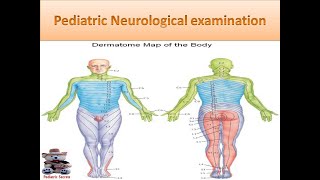 One Minute Cranial Nerve Exam [upl. by Zebadiah37]