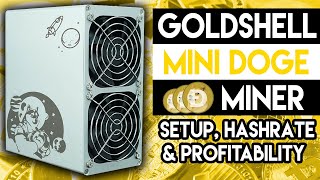 GoldShell Mini DogeCoin Miner Setup Hashrate amp Profitability [upl. by Freedman]