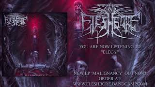 Fleshbore  Malignancy FULL STREAM [upl. by Gregorius631]