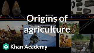 Origins of agriculture  World History  Khan Academy [upl. by Akaenahs663]