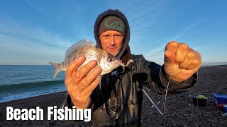 Beach Fishing  Chesil  Black Bream [upl. by Gomer]