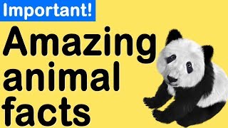 Amazing facts about animals [upl. by Sitoel293]