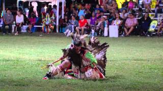 Oklahoma Indian Nations Powwow 2014 [upl. by Aztirak]