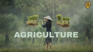 Agriculture  Full Chapter  Class 10 CBSE  Animated  Edufy SST [upl. by Koball995]