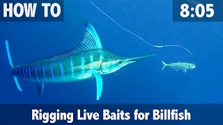 Rigging Live Baits for Billfish [upl. by Nihi]