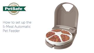 How To Setup Your PetSafe® 5Meal Automatic Pet Feeder [upl. by Llerrom]