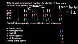 Haploid diploid triploid and tetraploid plants [upl. by Onateyac190]