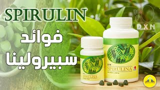 سبيرولينا DXN  فوائد سبيرولينا دكسن spirulina DXN [upl. by Torrin]