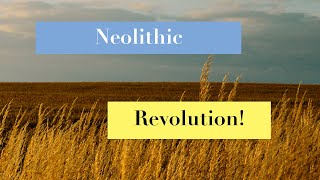 How The Neolithic Revolution Changed Human History [upl. by Carlick]