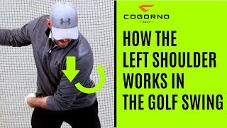 GOLF How The Left Shoulder Works In The Golf Swing [upl. by Eelirak]