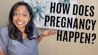 How does pregnancy happen [upl. by Faber]