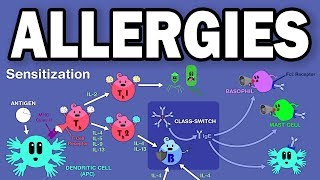 ALLERGIESTYPE I HYPERSENSITIVITY [upl. by Mercorr]