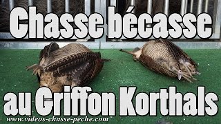 Chasse bécasse au griffon Korthals  GoPro 4 BE [upl. by Yenolem]