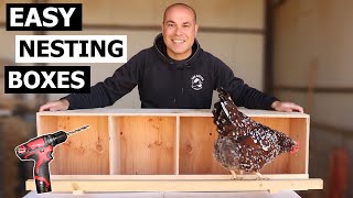 Nesting Boxes for Chickens  How to Build Chicken Nest Boxes [upl. by Ardnahcal]