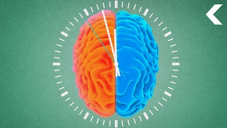 How Bilingual Brains Perceive Time Differently [upl. by Nnyleimaj]