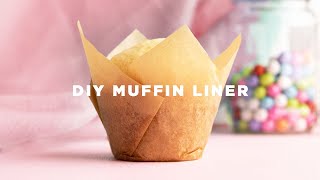 How to Make Cupcake Liners [upl. by Analli]