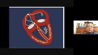 Bifascicular Block [upl. by Ahsemad962]