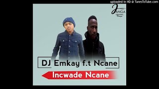 DJ Emkay ft Ncane  Incwade Ncane [upl. by Wunder798]