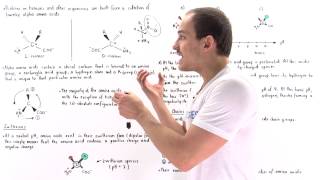 Introduction to Amino Acids [upl. by Ademordna]