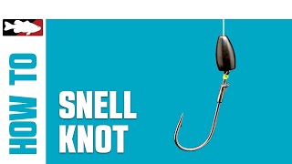 HowTo Tie a Snell Knot [upl. by Acirrehs]