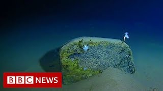 Mariana Trench Recordbreaking journey to the bottom of the ocean  BBC News [upl. by Suiradal]