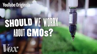 Should We Be Worried About GMOs  Glad You Asked S1 [upl. by Loesceke331]