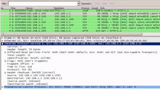 Sample IPv4 Headers in Wireshark [upl. by Ecila]