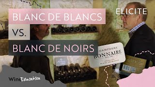 Champagne Types Blanc De Blancs Vs Blanc De Noirs [upl. by Ayotel]