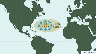 Ocean Gyres and Geostrophic Flow [upl. by Ewald]