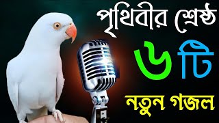 কলিজা কাঁপানো সেরা ৬ টি গজল  Top 6 Ta Gojol  Bangla New Gojol 2021  New Gojol 2021  Gojol  গজল [upl. by Falk60]