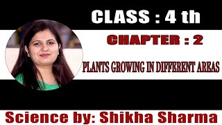 CLASS IV SCIENCECHAPTER 2 PLANTS GROWING IN DIFFERENT AREAS [upl. by Adekram]