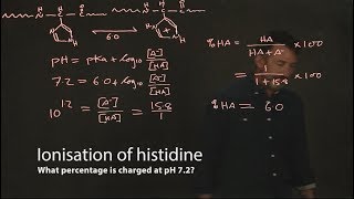 Ionisation of histidine [upl. by Krug948]