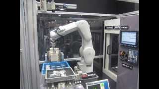 Mitsubishi Electric F Series Robot Machine Tending [upl. by Ketti]