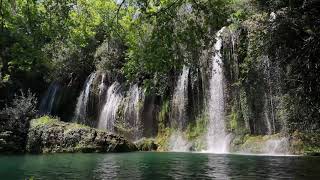 Wasserfallgeräusche mit Vogelgezwitscher im Wald Naturgeräusche zum Einschlafen amp Entspannen [upl. by Chariot]