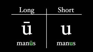 The Latin Alphabet  Vowel Pronunciation [upl. by Nosduj]