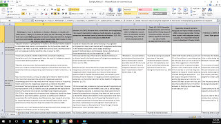 How to Create a Literature Matrix Excel [upl. by Aicel616]