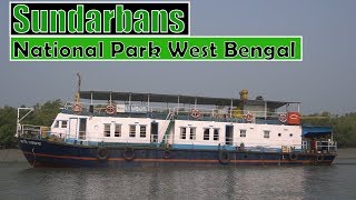 Sundarbans National Park West Bengal  All about journey on ship [upl. by Valry883]