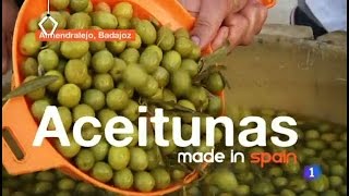 33Fabricando Made in Spain Aceitunas [upl. by Rehttam371]