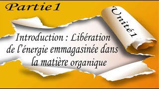 1 Introduction  Libération de l’énergie emmagasinée dans la matière organique ATP [upl. by Jane]