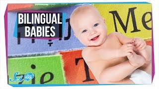 How Do Babies Become Bilingual [upl. by Fauver268]