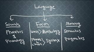 SEMANTICS1 What is Semantics [upl. by Ellehciram]