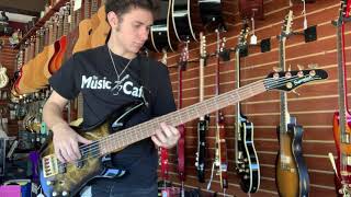 Samick Artist Series 5 String Bass [upl. by Kaiser199]