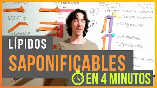 Lípidos Saponificables en 4 minutos [upl. by Sheeran]