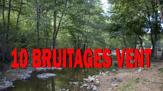 10 BRUITAGES VENT [upl. by Bardo62]